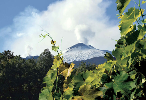 Tour Etna & Vini